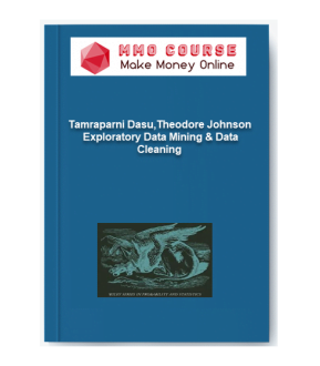 Tamraparni Dasu & Theodore Johnson – Exploratory Data Mining & Data Cleaning