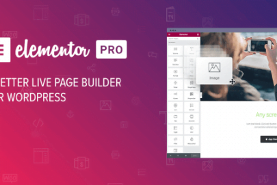 Elementor Pro – Improve Every Aspect of Your WordPress Design Live, Easy and Fun