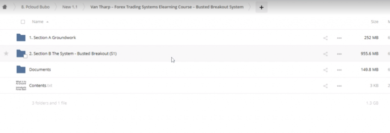 Forex Trading Systems Elearning Course – Busted Breakout System