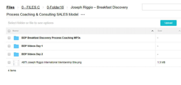 Joseph Riggio – Breakfast Discovery Process Coaching & Consulting SALES Model 