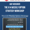 Amy Meissner – The A14 Weekly Option Strategy Workshop