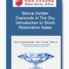Becca Switzer - Diamonds In The Sky – Introduction to Storm Restoration Sales