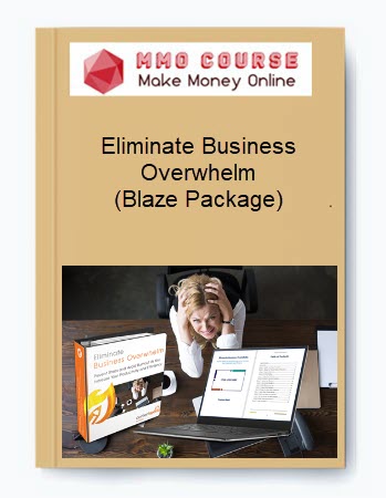 Eliminate Business Overwhelm (Blaze Package)