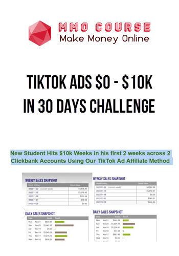 Tiktok Ads $0 – $10k in 30 Days Challenge