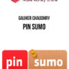 Gauher Chaudhry – Pin Sumo