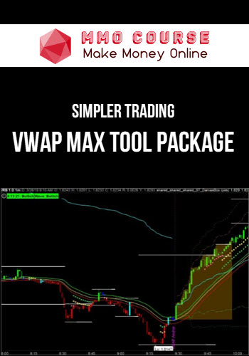 Simpler Trading – Raghee Horner – VWAP Max Tool Package