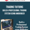 Trading Tuitions – Build a Professional Trading System using Amibroker