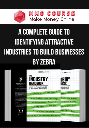 A Complete Guide to Identifying Attractive Industries to Build Businesses by Zebra