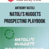 Anthony Natoli – Natoli's Nuggets Prospecting Playbook