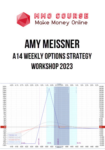 Amy Meissner – A14 Weekly Options Strategy Workshop 2023