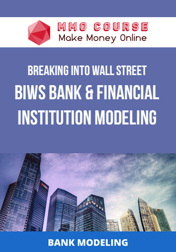 Breaking Into Wall Street – BIWS Bank & Financial Institution Modeling