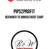 Pips2Profit – Beginner To Winner Boot Camp