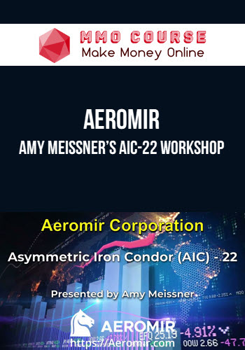 Aeromir – Amy Meissner’s AIC-22 Workshop