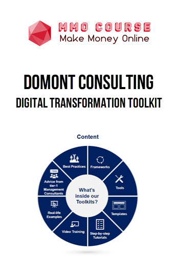 Domont Consulting – Digital Transformation Toolkit