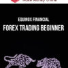 Equinox Financial – Forex Trading Beginner