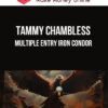 Tammy Chambless – Multiple Entry Iron Condor