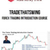 TradeThatSwing – Forex Trading Introduction Course