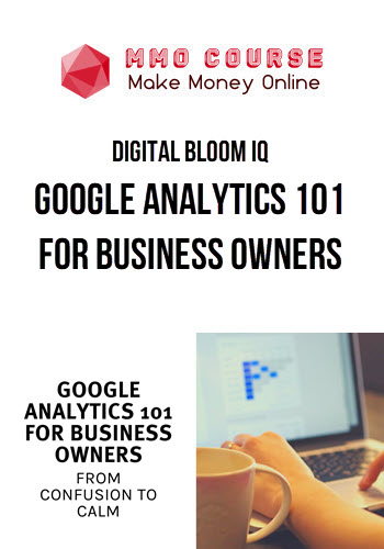 Digital Bloom IQ – Google Analytics 101 for Business Owners