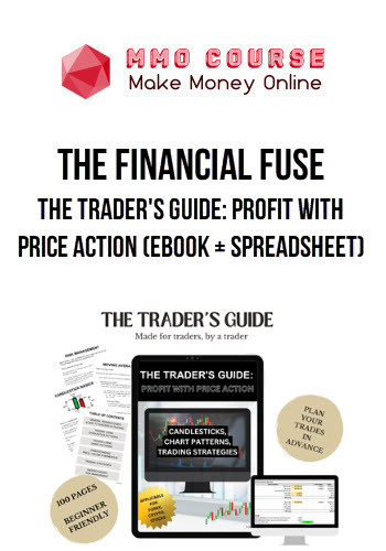 The Financial Fuse – The Trader's Guide: Profit with Price Action (Ebook + Spreadsheet)